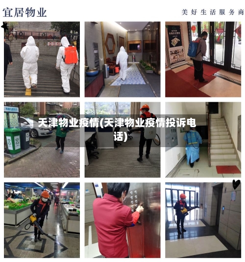 天津物业疫情(天津物业疫情投诉电话)