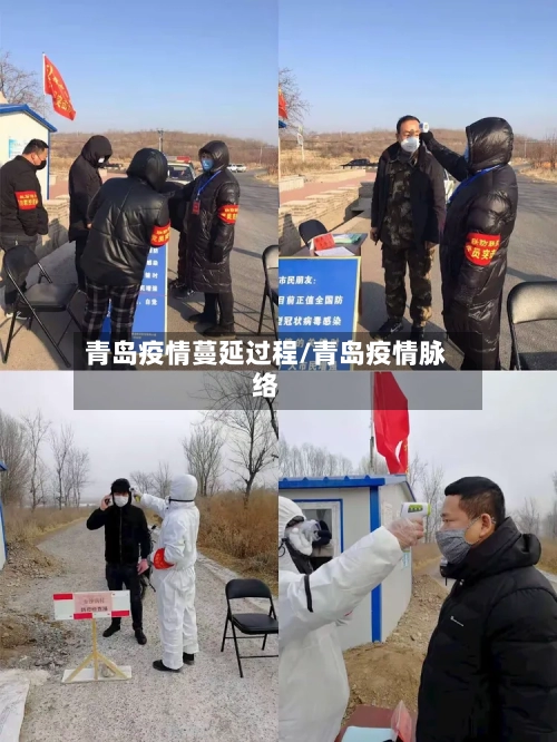 青岛疫情蔓延过程/青岛疫情脉络
