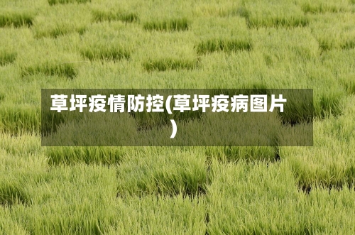 草坪疫情防控(草坪疫病图片)