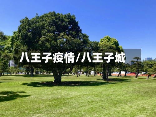 八王子疫情/八王子城