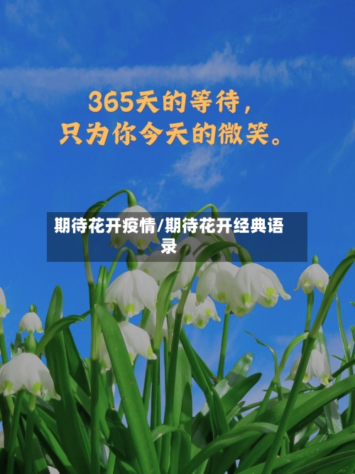期待花开疫情/期待花开经典语录