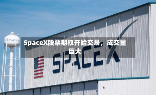 SpaceX股票期权开始交易	，成交量巨大-第2张图片