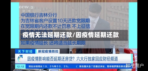 疫情无法延期还款/因疫情延期还款