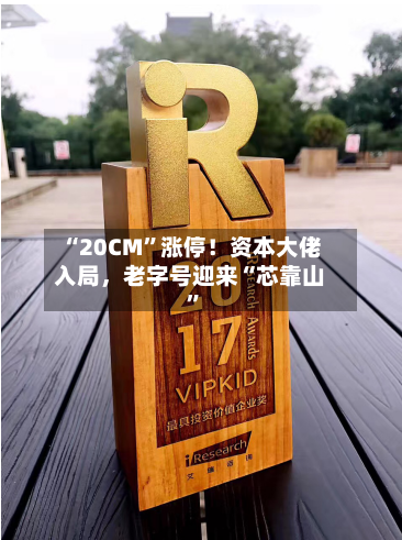 “20CM”涨停！资本大佬入局，老字号迎来“芯靠山”-第2张图片