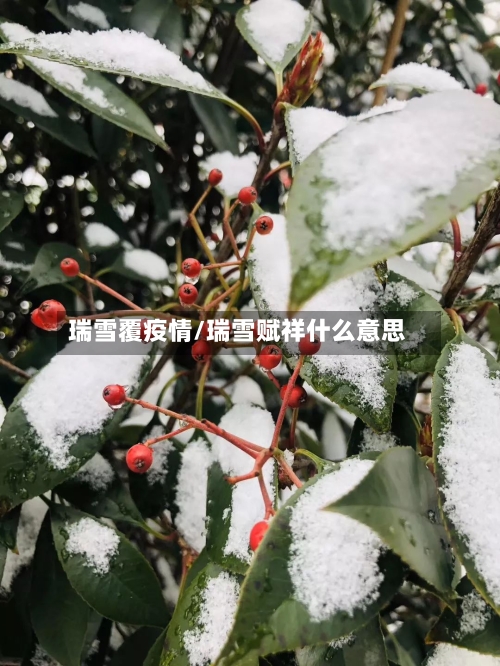 瑞雪覆疫情/瑞雪赋祥什么意思-第2张图片