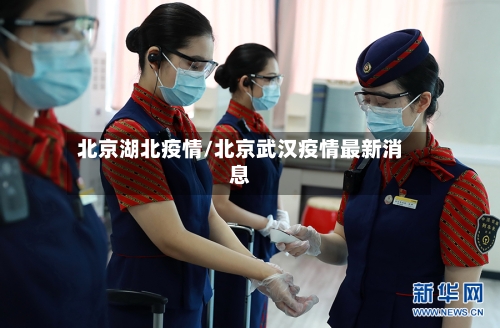 北京湖北疫情/北京武汉疫情最新消息-第2张图片