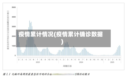 疫情累计情况(疫情累计确诊数据)