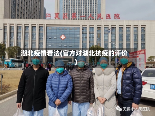湖北疫情看法(官方对湖北抗疫的评价)