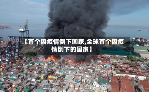 【首个因疫情倒下国家,全球首个因疫情倒下的国家】-第2张图片