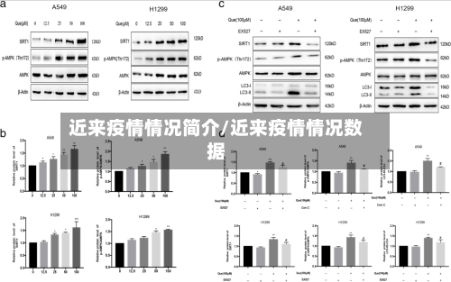 近来疫情情况简介/近来疫情情况数据