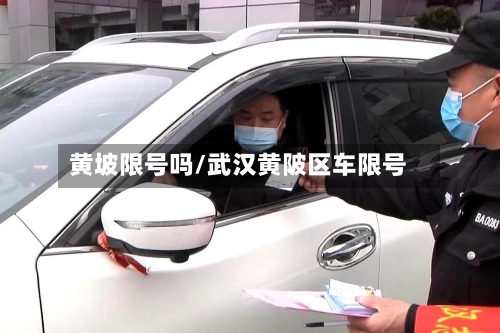黄坡限号吗/武汉黄陂区车限号-第2张图片