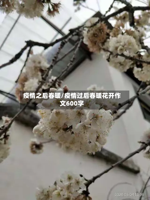 疫情之后春暖/疫情过后春暖花开作文600字